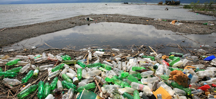 End Plastic Pollution for Earth Day 2019