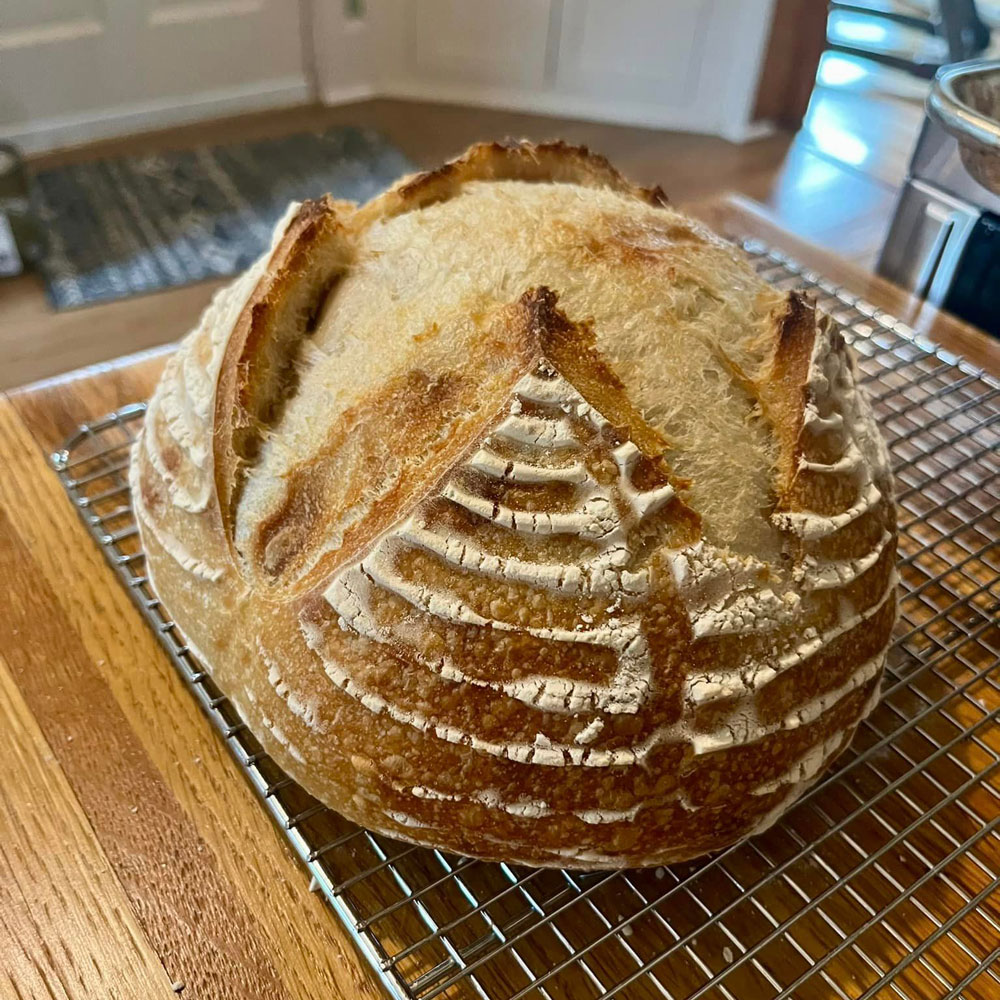 Sourdough for the Soul